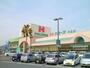 スーパー　ハローズ中庄店（スーパー）まで1124m