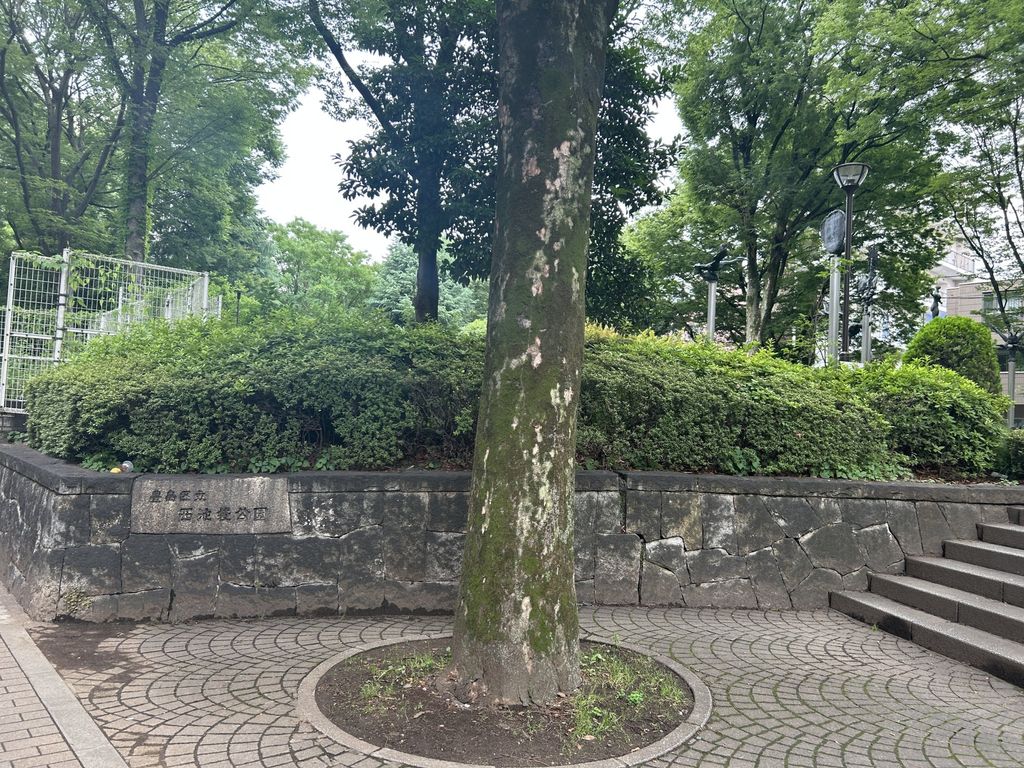 公園　（公園）まで0m