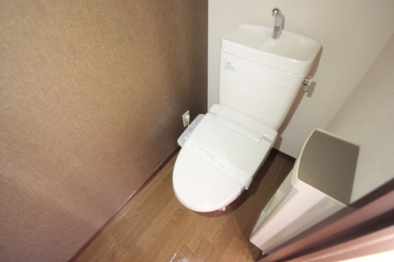 トイレ　※別号室の写真です