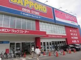 ホームセンター　ザ・ダイソー札幌南11条店（ホームセンター）まで811m