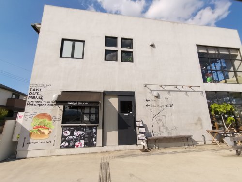 飲食店　ANTIQUA TREE CAFE(アンティカツリーカフェ)（飲食店）まで1930m