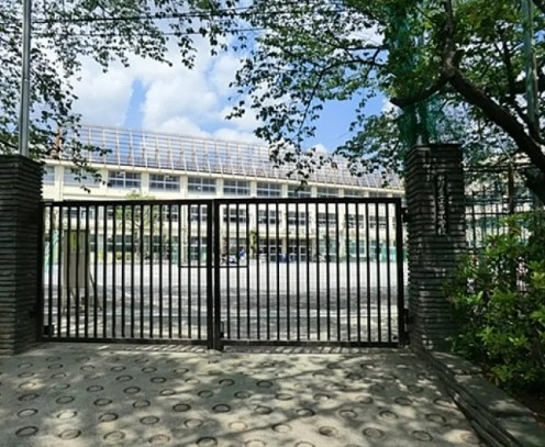 小学校　中野区立江古田小学校（小学校）まで481m