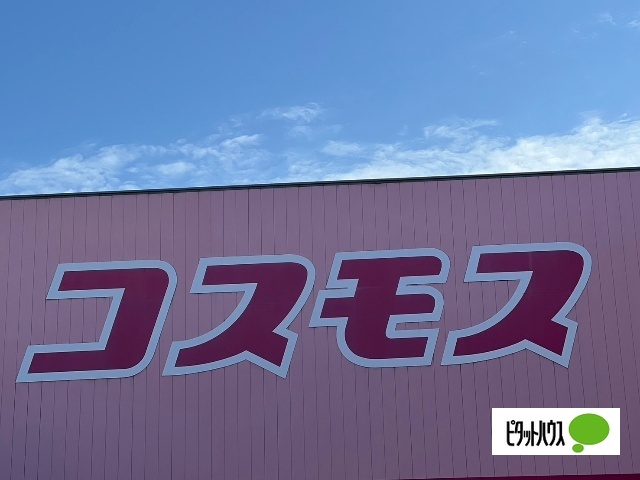 ドラックストア　ディスカウントドラッグコスモス昭和町店（ドラッグストア）まで1020m