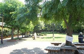 公園　世田谷区立 ねこじゃらし公園（公園）まで395m