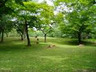 公園　中比恵公園（公園）まで267m