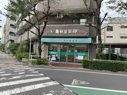 ドラックストア　薬林堂（ドラッグストア）まで290m