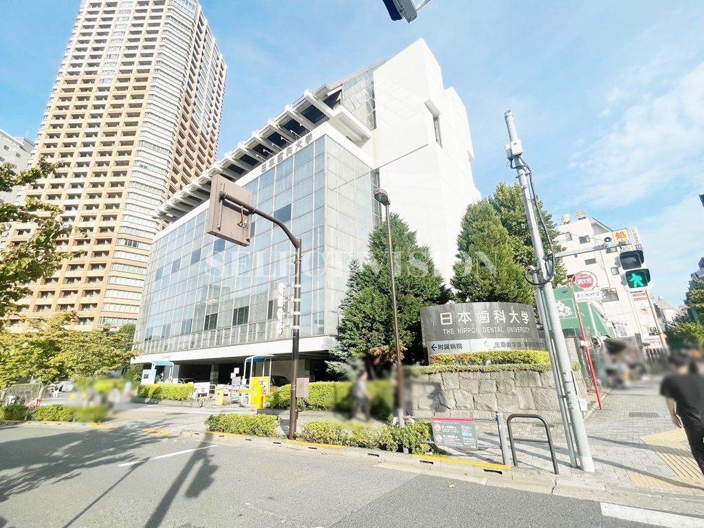 その他　私立日本歯科大学東京短期大学（その他）まで990m