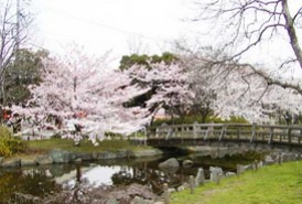 公園　東綾瀬公園（公園）まで930m