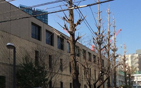 小学校　港区立赤羽小学校（小学校）まで666m