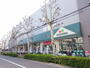 その他　マルエツ田端店（その他）まで206m