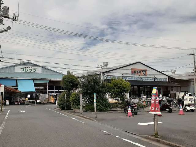 スーパー　新鮮市場フレッツ（スーパー）まで195m