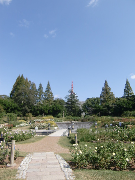 公園　靱公園（公園）まで145m
