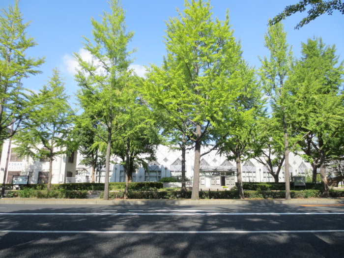 公園　テニスコート（公園）まで120m