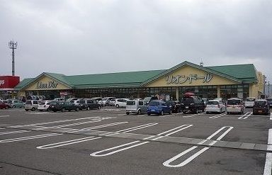 スーパー　リオン・ドール 燕北店（スーパー）まで900m