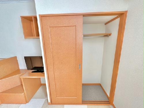 収納　絨毯の色・柄はお部屋によって異なる可能性がございます。