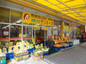 スーパー　サンエース 新郊通店（スーパー）まで582m