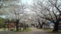 公園　那珂中央公園（公園）まで2293m