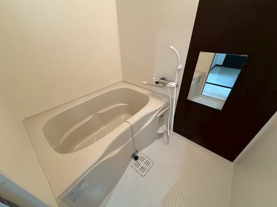 バス・シャワールーム　※別部屋の写真です