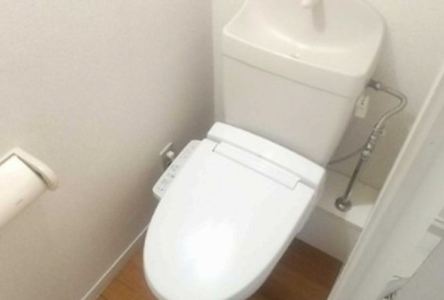 トイレ　同シリーズ参考写真。