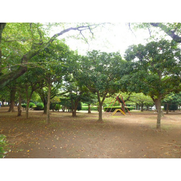 公園　御滝公園（公園）まで584m