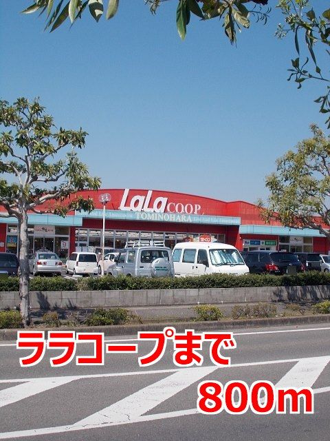スーパー　ララコープ（スーパー）まで800m
