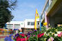 幼稚園・保育園　蜆塚幼稚園（幼稚園・保育園）まで143m