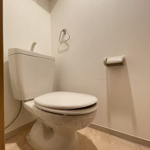 トイレ　同仕様タイプです