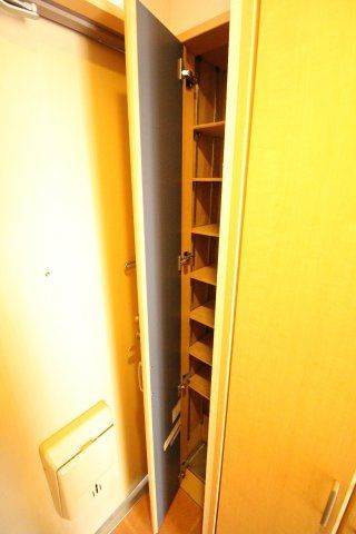 玄関　（別タイプ参考写真）サンモールエイト小石川　文京区小石川5
