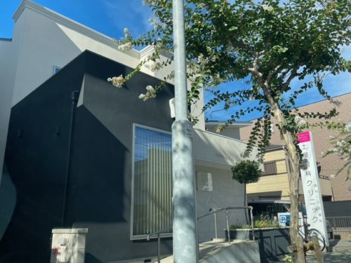 病院　土屋歯科クリニック（病院）まで150m