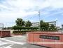 小学校　和田東小学校（小学校）まで773m