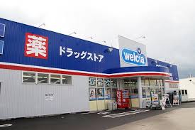 ドラックストア　ウエルシア 新潟新和店（ドラッグストア）まで367m