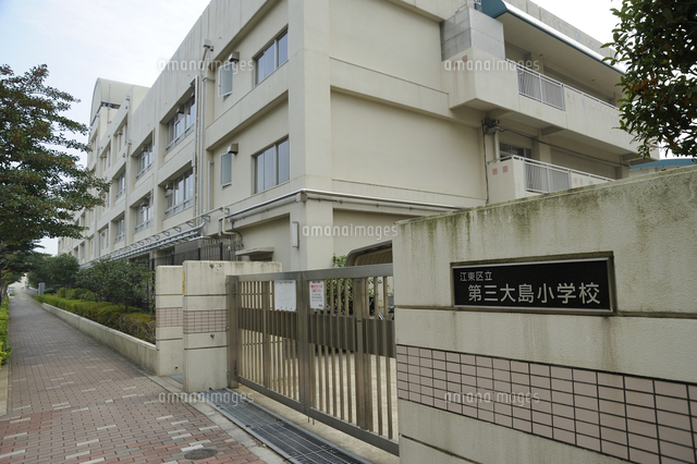 小学校　江東区立第三大島小学校（小学校）まで608m