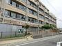 小学校　川崎市立中野島小学校（小学校）まで224m