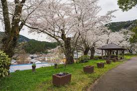 公園　天王山公園（公園）まで589m