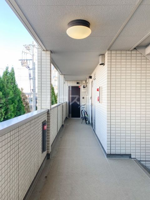 リベラマーロのその他写真