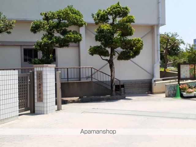 小学校　白坪小学校（小学校）まで130m