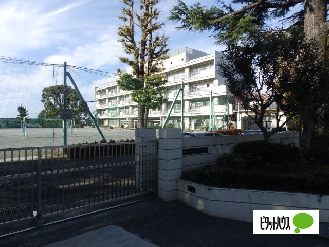 小学校　横浜市立石川小学校（小学校）まで502m