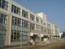 小学校　藤沢市立秋葉台小学校（小学校）まで981m