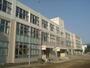 小学校　藤沢市立秋葉台小学校（小学校）まで981m