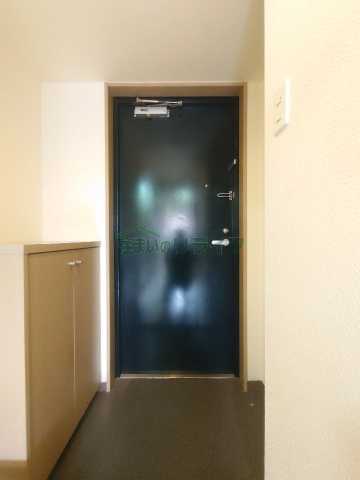 シャトレゲンジの玄関写真