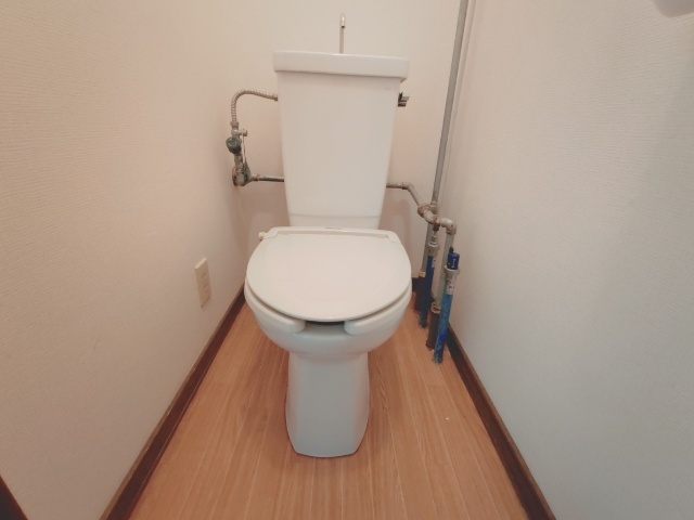 大川ハイムA棟のトイレ写真