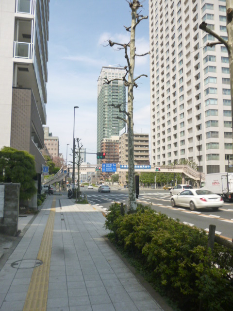 その他　桜田通り（その他）まで0m