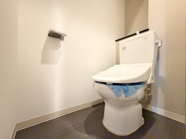 フラシア東難波のトイレ写真