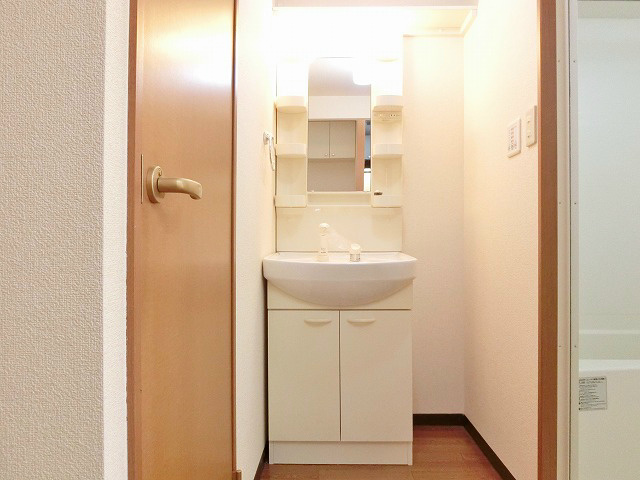 洗面設備　シンプルなシャワードレッサー。壁との隙間を何か有効に生かせそ