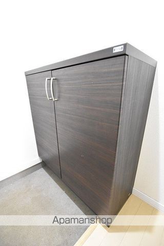 アプシノンIのその他写真