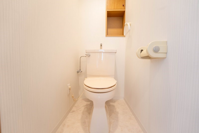 リバーコート湊川PART2のトイレ写真