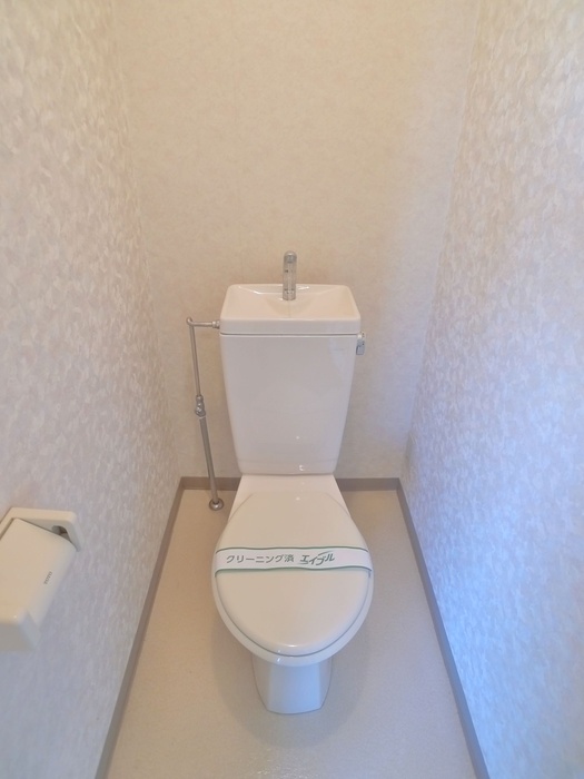 ロイヤルパ-クのトイレ写真