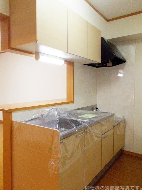 ドミール新白河 A棟のキッチン写真