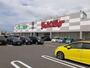 スーパー　チャレンジャー　海老ケ瀬店（スーパー）まで300m