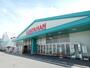 ホームセンター　綿半スーパーセンター 諏訪店（ホームセンター）まで1053m